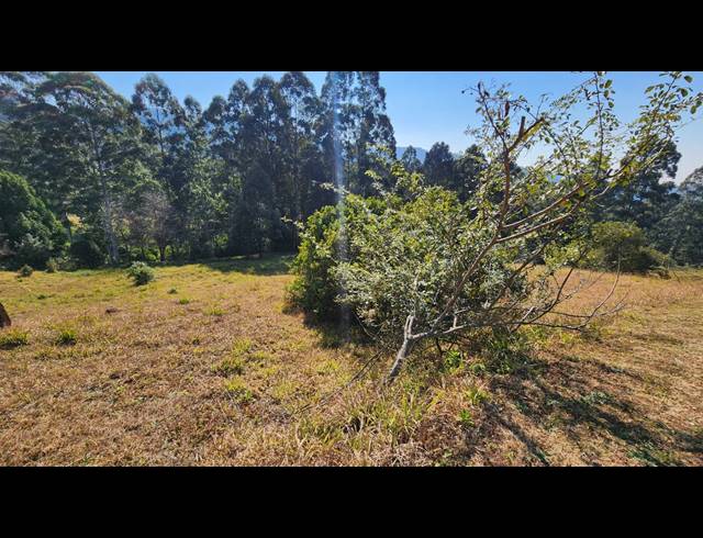 1,663M² VACANT LAND FOR SALE IN MONTROSE